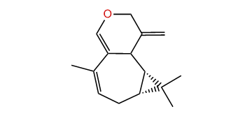 (5S,6S,7S)-Plagiochiline X